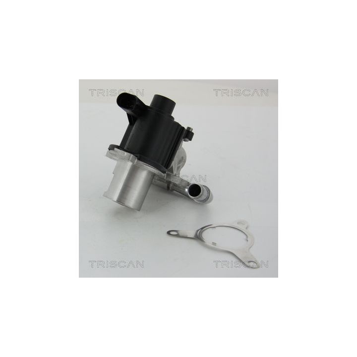 ERG vožtuvas TRISCAN 8813 25039