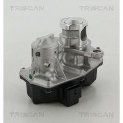 ERG vožtuvas TRISCAN 8813 25042