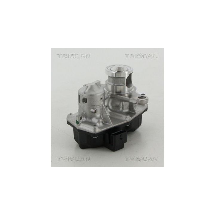 ERG vožtuvas TRISCAN 8813 25042