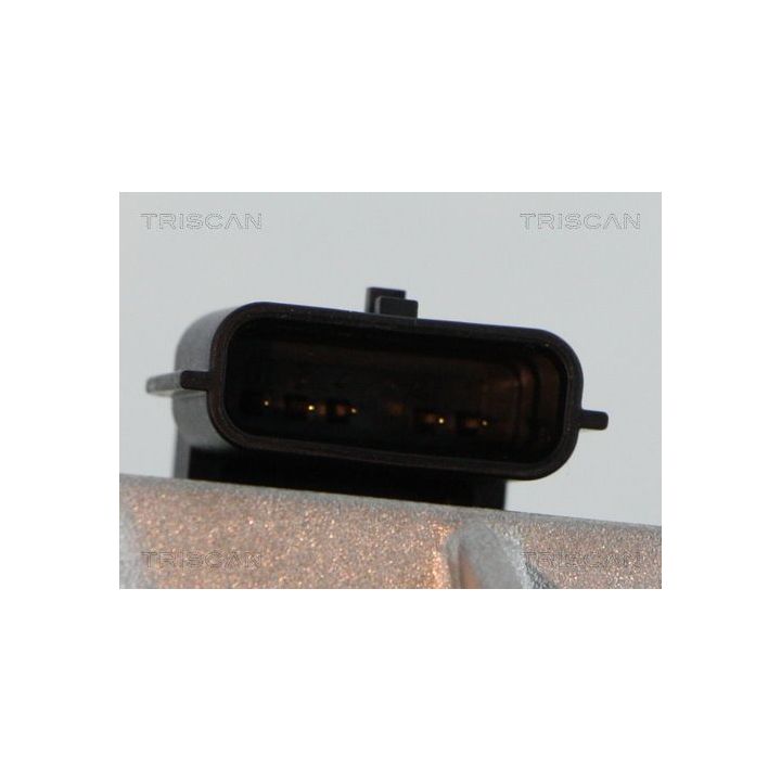 ERG vožtuvas TRISCAN 8813 25042