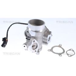 ERG vožtuvas TRISCAN 8813 25200