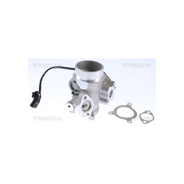 ERG vožtuvas TRISCAN 8813 25200