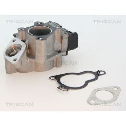 ERG vožtuvas TRISCAN 8813 25203