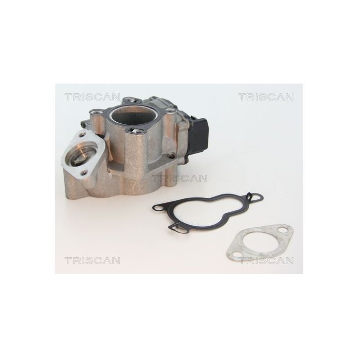 ERG vožtuvas TRISCAN 8813 25203