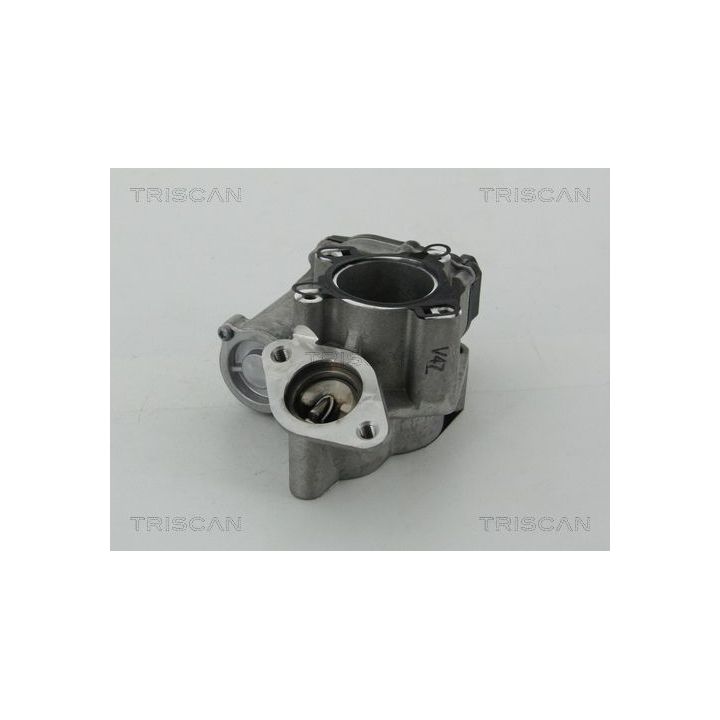 ERG vožtuvas TRISCAN 8813 25203