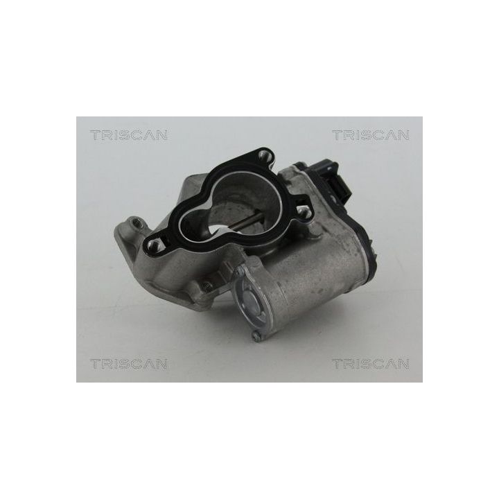 ERG vožtuvas TRISCAN 8813 25203