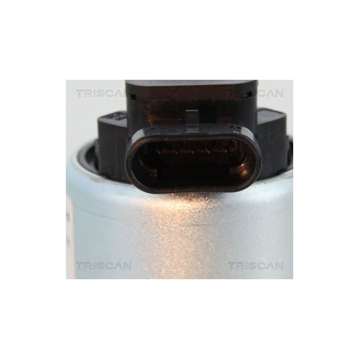 ERG vožtuvas TRISCAN 8813 28008