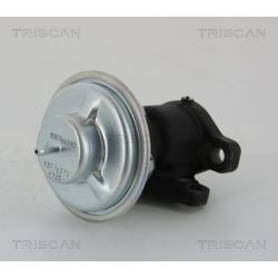 ERG vožtuvas TRISCAN 8813 28011