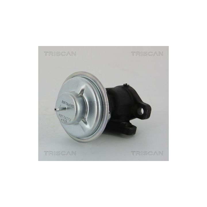 ERG vožtuvas TRISCAN 8813 28011