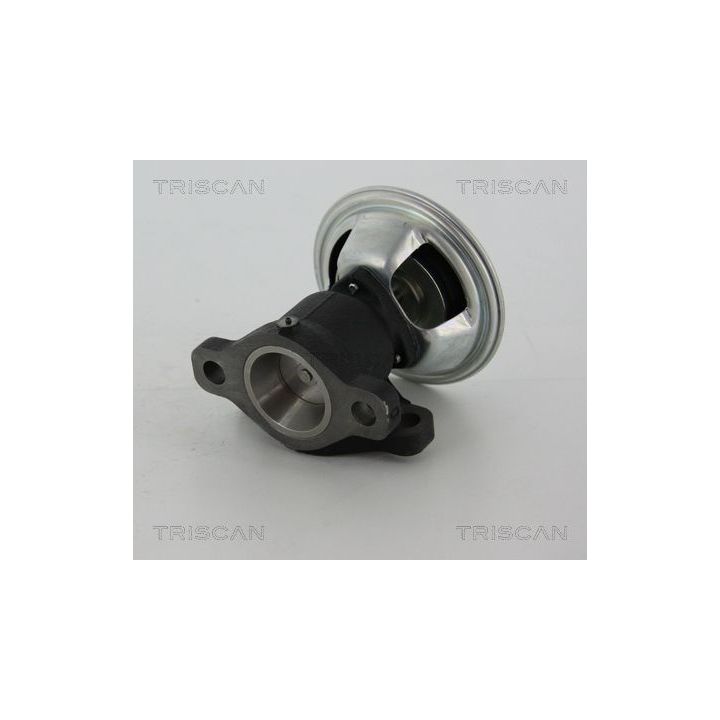 ERG vožtuvas TRISCAN 8813 28011