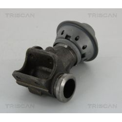 ERG vožtuvas TRISCAN 8813 28013