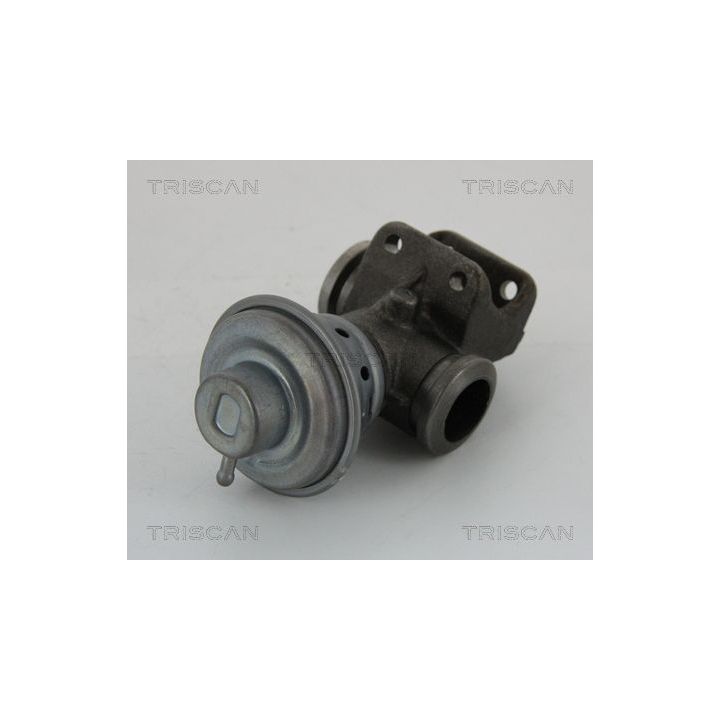 ERG vožtuvas TRISCAN 8813 28013