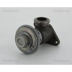 ERG vožtuvas TRISCAN 8813 28014