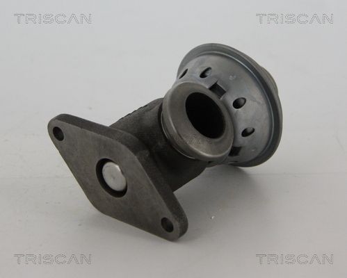 ERG vožtuvas TRISCAN 8813 28014