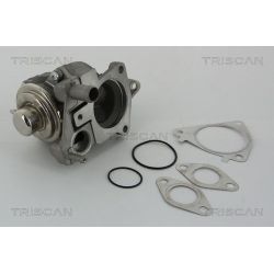 ERG vožtuvas TRISCAN 8813 28019