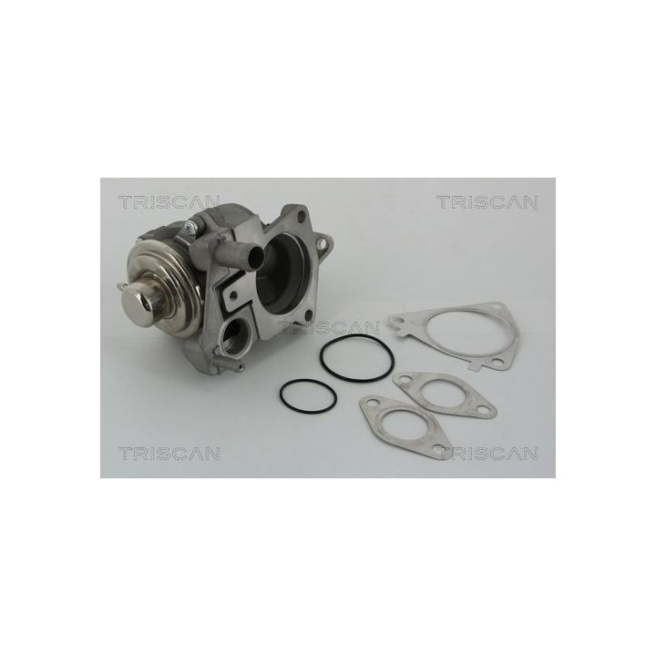 ERG vožtuvas TRISCAN 8813 28019