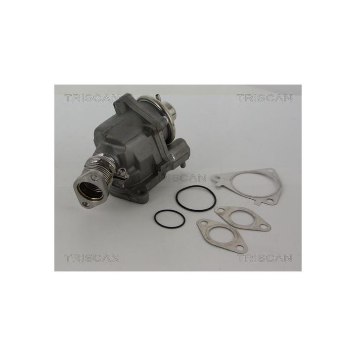 ERG vožtuvas TRISCAN 8813 28019