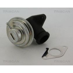 ERG vožtuvas TRISCAN 8813 28042