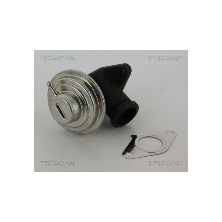 ERG vožtuvas TRISCAN 8813 28042