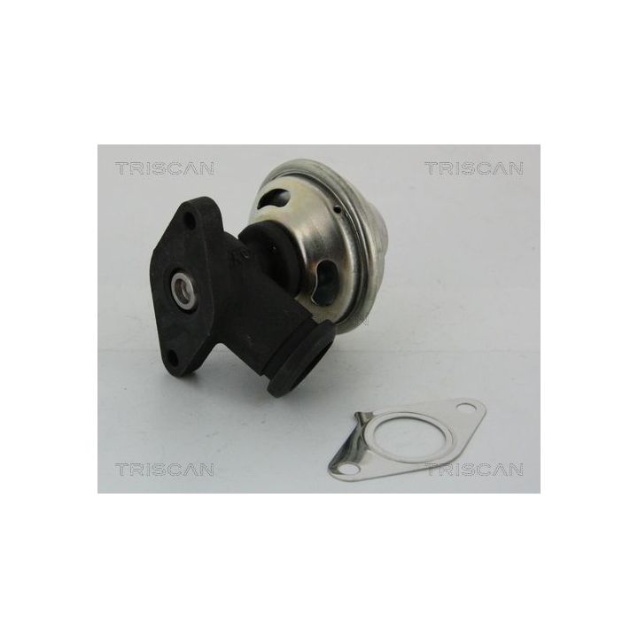 ERG vožtuvas TRISCAN 8813 28042