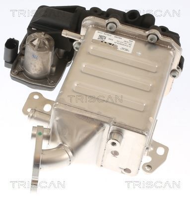 ERG vožtuvas TRISCAN 8813 29005