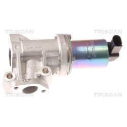 ERG vožtuvas TRISCAN 8813 43001