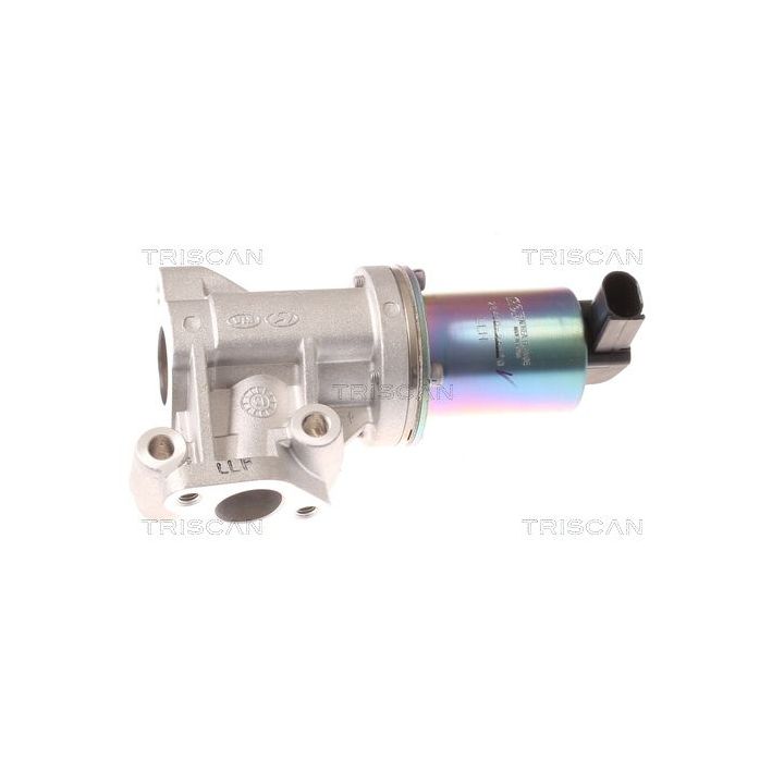 ERG vožtuvas TRISCAN 8813 43001