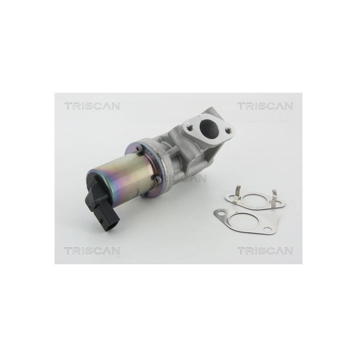 ERG vožtuvas TRISCAN 8813 43001