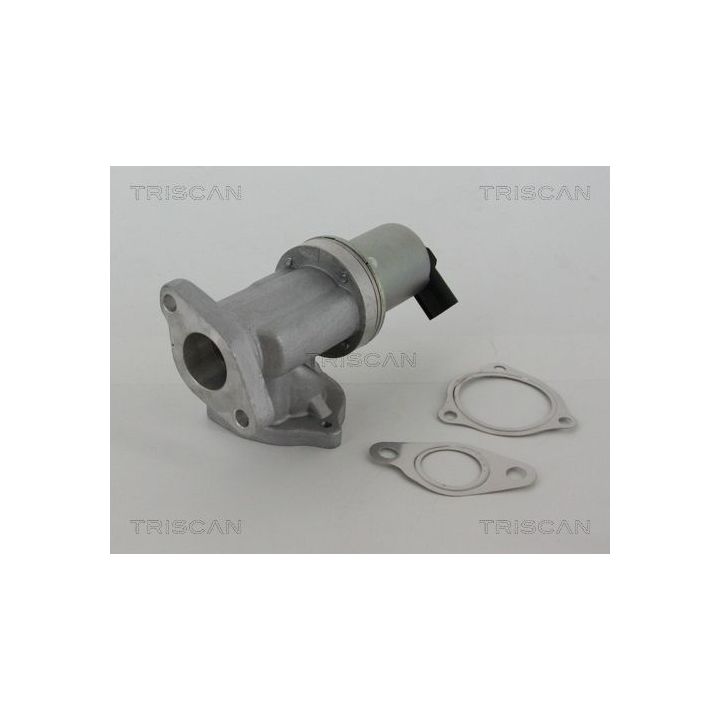 ERG vožtuvas TRISCAN 8813 43002