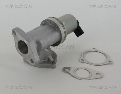 ERG vožtuvas TRISCAN 8813 43002