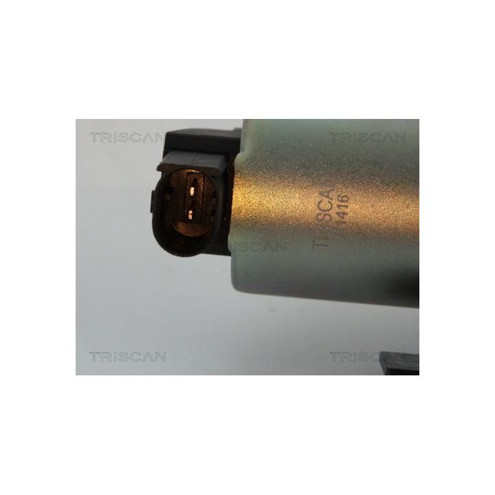 ERG vožtuvas TRISCAN 8813 43002