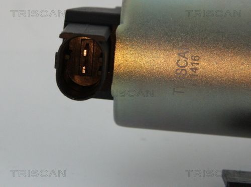 ERG vožtuvas TRISCAN 8813 43002