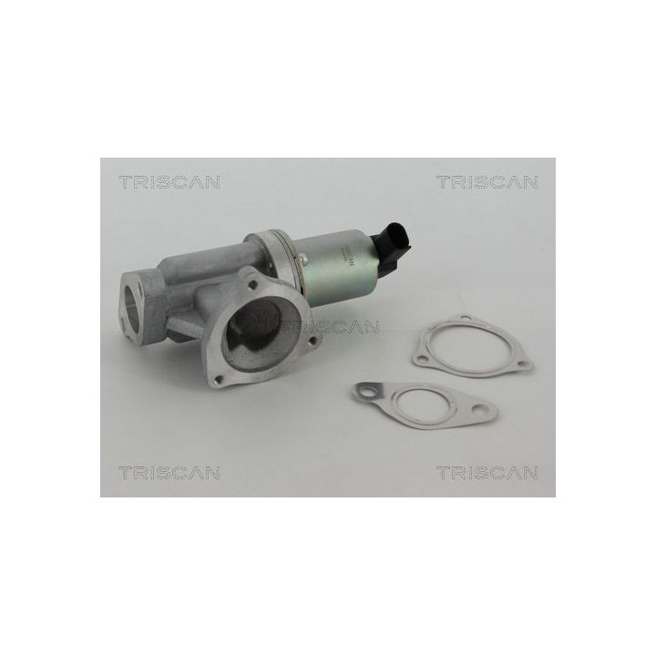 ERG vožtuvas TRISCAN 8813 43002