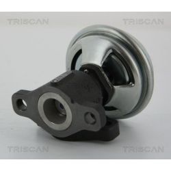 ERG vožtuvas TRISCAN 8813 43005