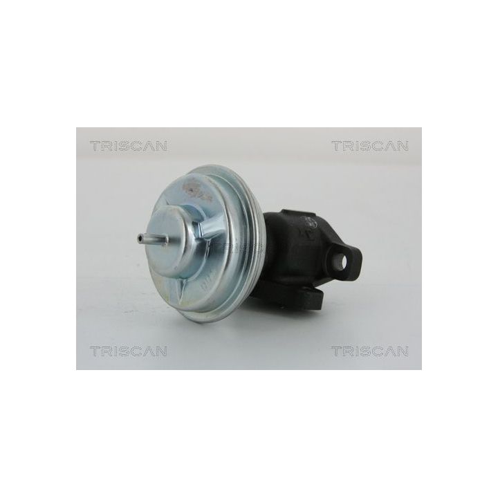 ERG vožtuvas TRISCAN 8813 43005