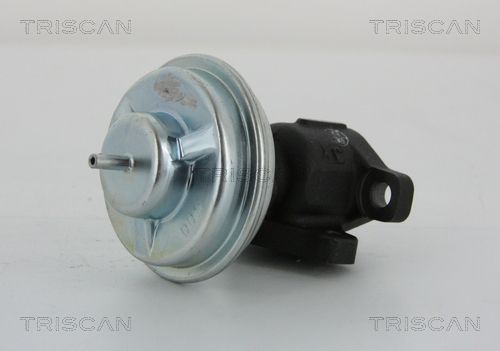 ERG vožtuvas TRISCAN 8813 43005