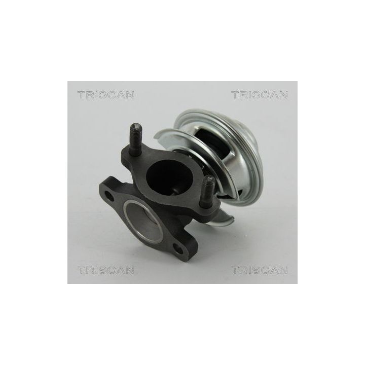 ERG vožtuvas TRISCAN 8813 43008