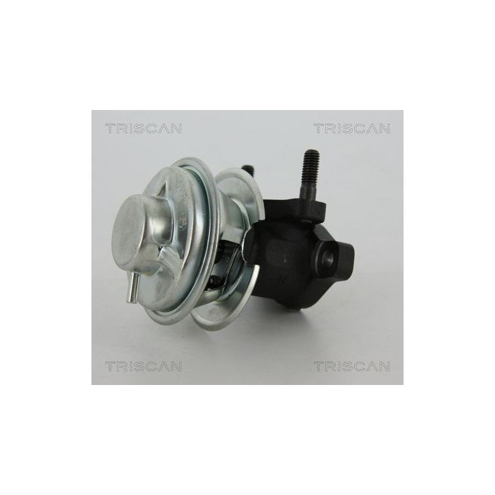 ERG vožtuvas TRISCAN 8813 43008