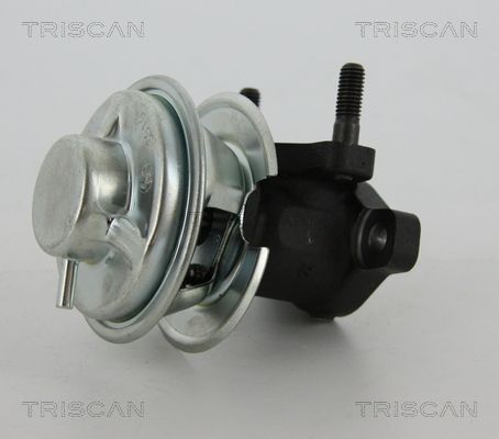 ERG vožtuvas TRISCAN 8813 43008