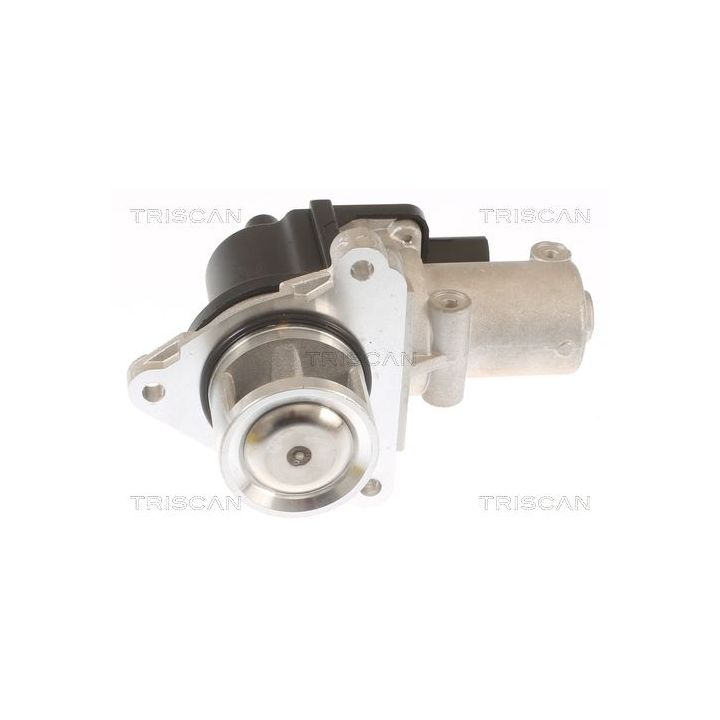 ERG vožtuvas TRISCAN 8813 43010