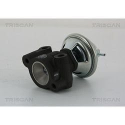 ERG vožtuvas TRISCAN 8813 43014