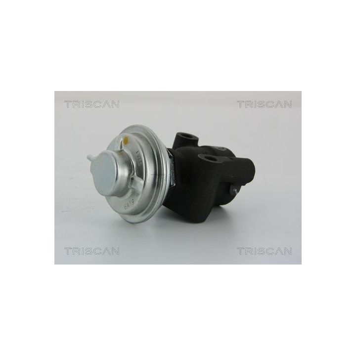 ERG vožtuvas TRISCAN 8813 43014
