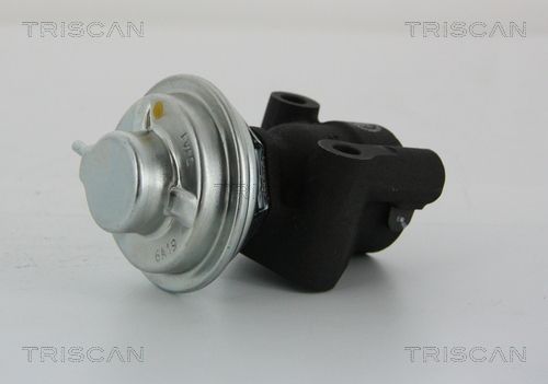 ERG vožtuvas TRISCAN 8813 43014