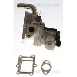 ERG vožtuvas TRISCAN 8813 43017