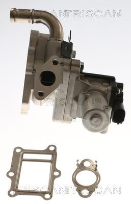 ERG vožtuvas TRISCAN 8813 43017