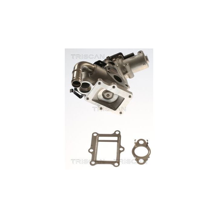 ERG vožtuvas TRISCAN 8813 43017