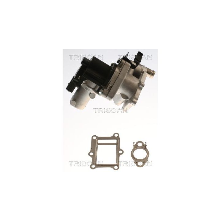 ERG vožtuvas TRISCAN 8813 43017