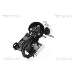 ERG vožtuvas TRISCAN 8813 43018