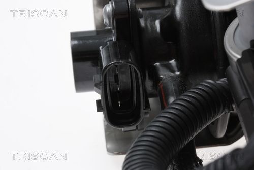 ERG vožtuvas TRISCAN 8813 43018