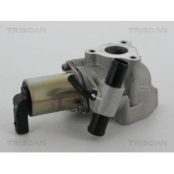 ERG vožtuvas TRISCAN 8813 43020